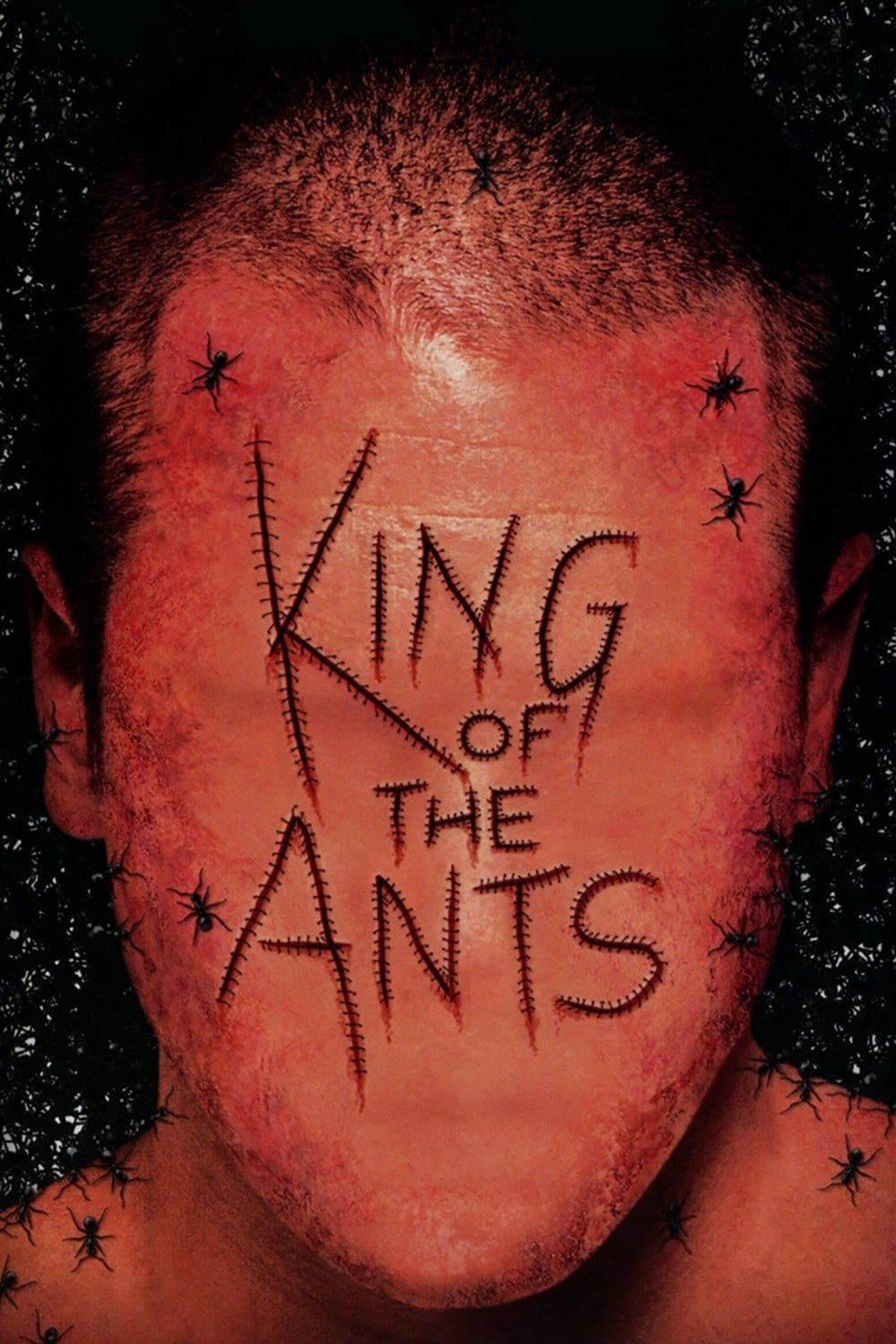 Постер King of the Ants